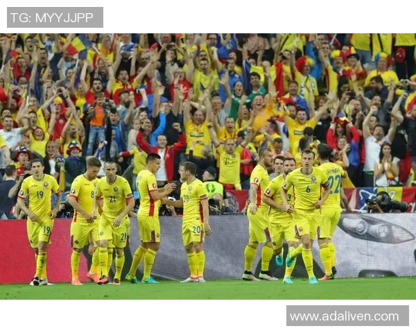 欧洲杯预选赛精彩对决罗马尼亚迎战强敌瑞典全力争胜